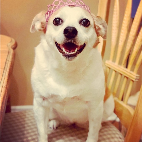 Meet your Posher, Luanne - Picture 2 of 11